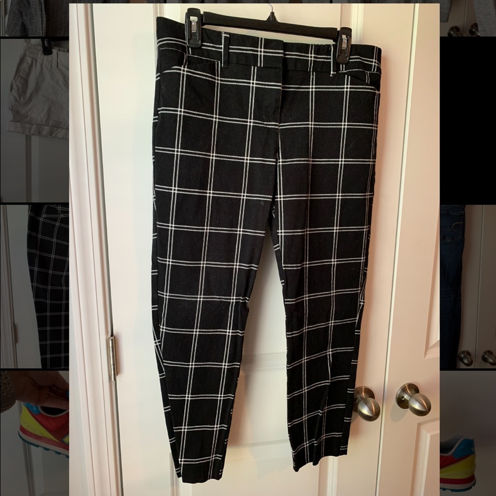 New York & Company pixie pants